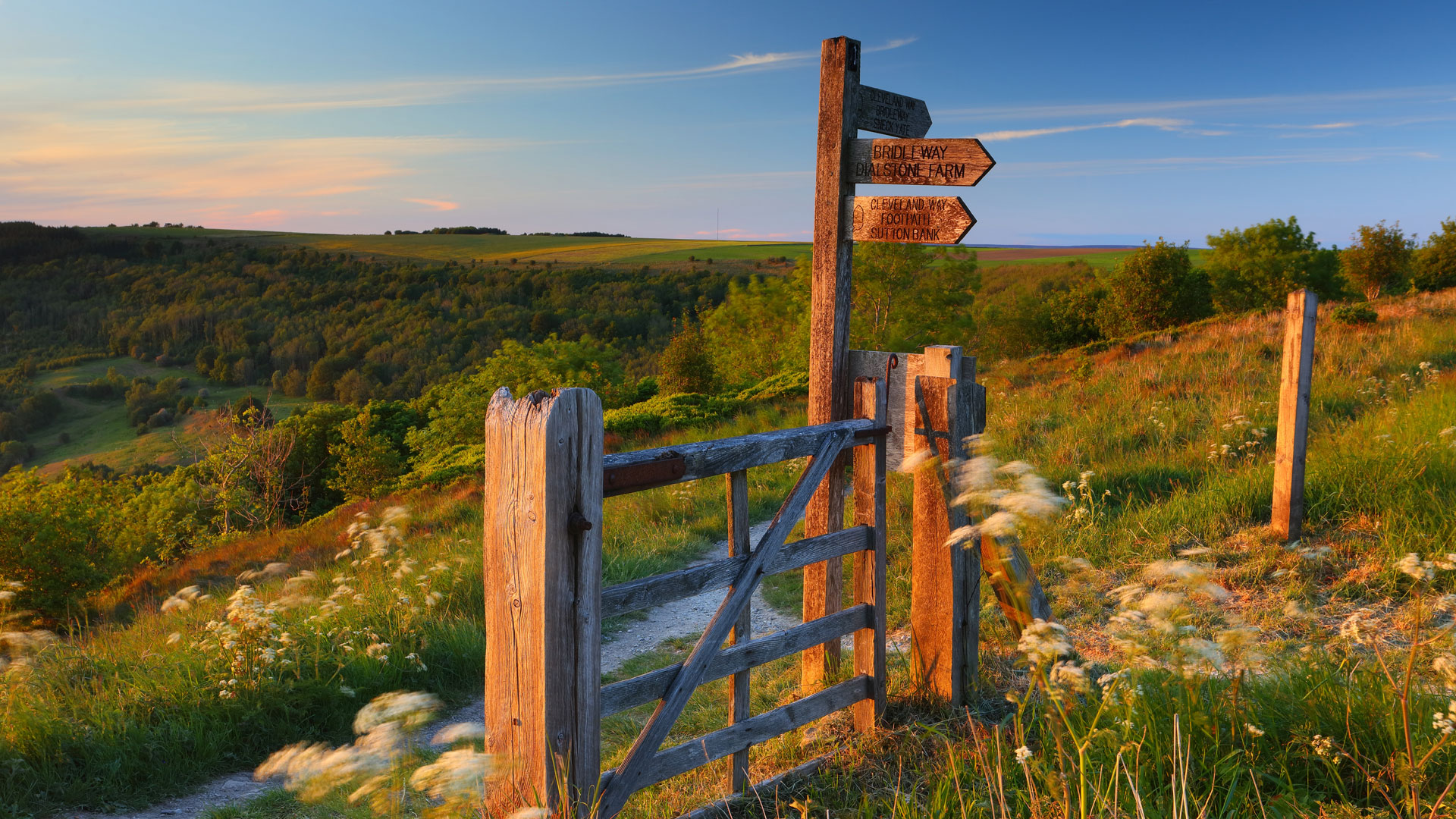 north york moors coastal view