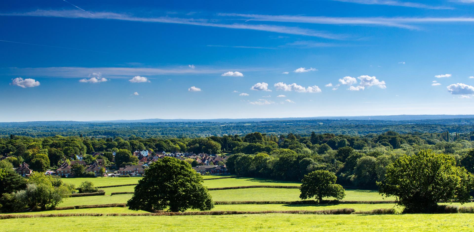 Holmwood common in Surrey