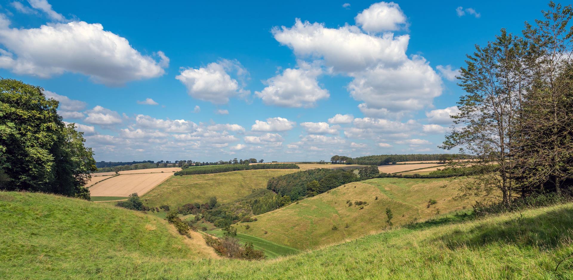 Yorkshire Wolds, East Yorkshire