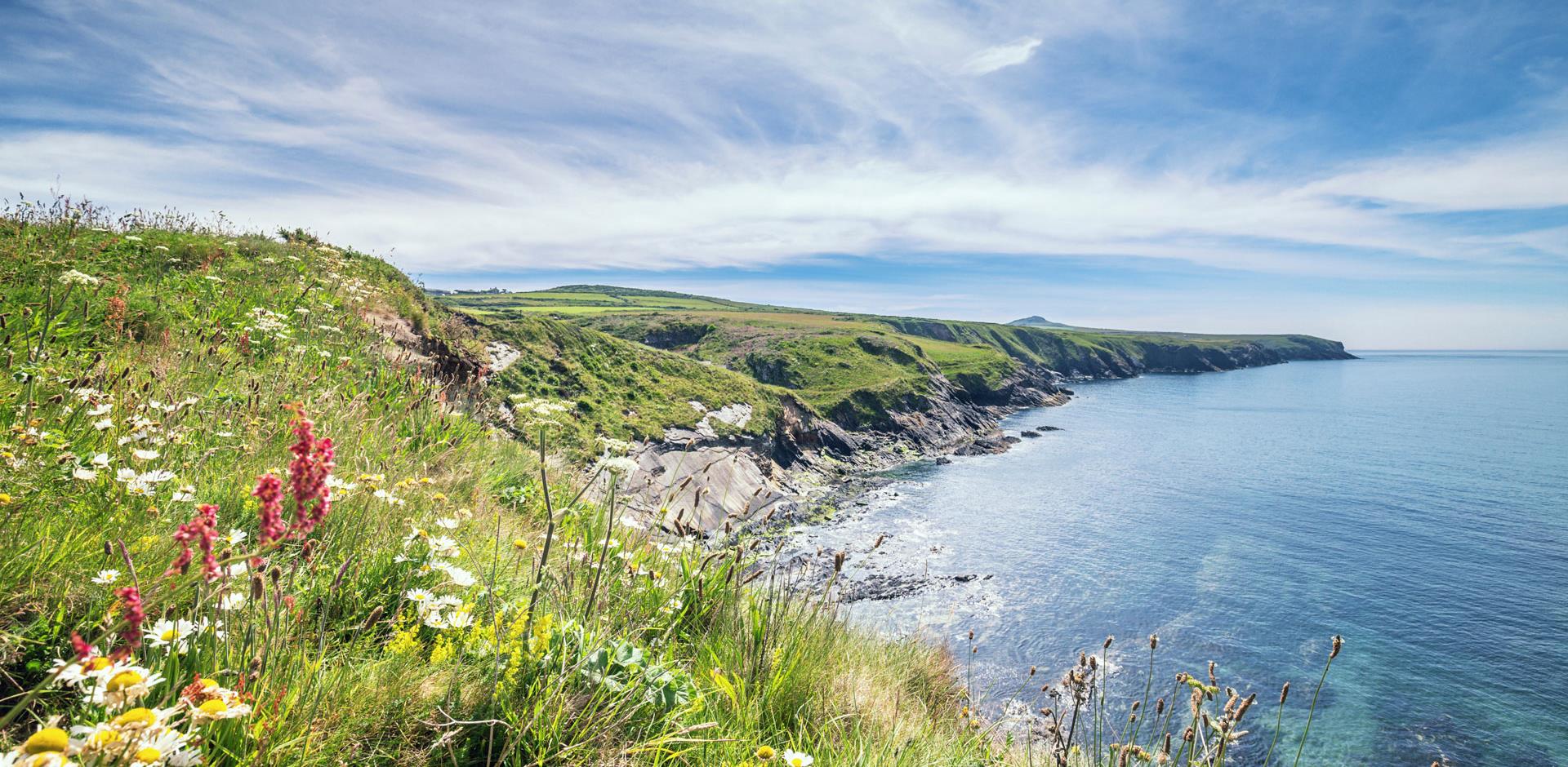 St Davids Head, Wales