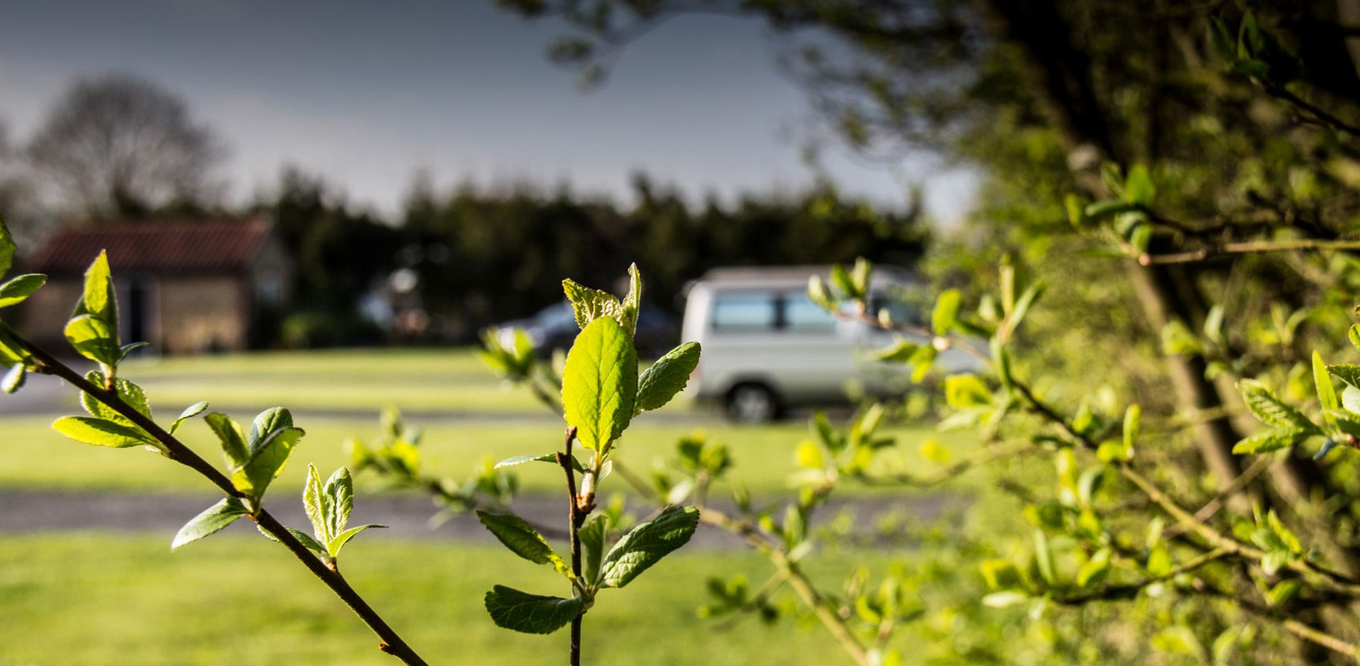 Campervan site