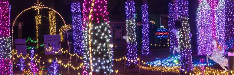 Pink and purple Christmas lights