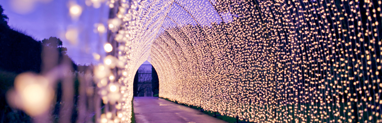 Golden Christmas light tunnel