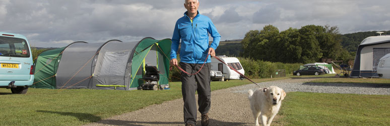 Man in blue jacket walking his dog on UK campsite
