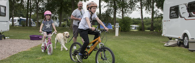 Kids riding bikes with dog in the background on UK campsite