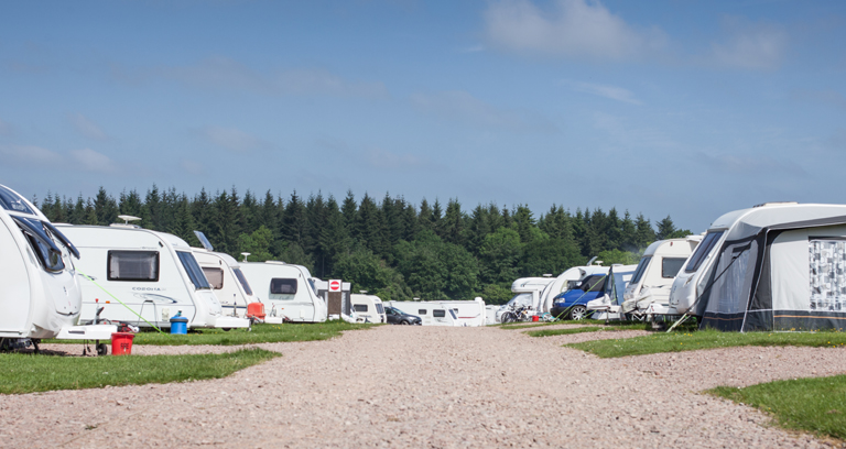 Bracelands - Forest of Dean Camping in the Forest Site - The Camping