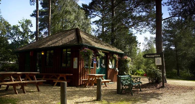 Setthorns New Forest Camping In The Forest Site The Camping And Caravanning Club