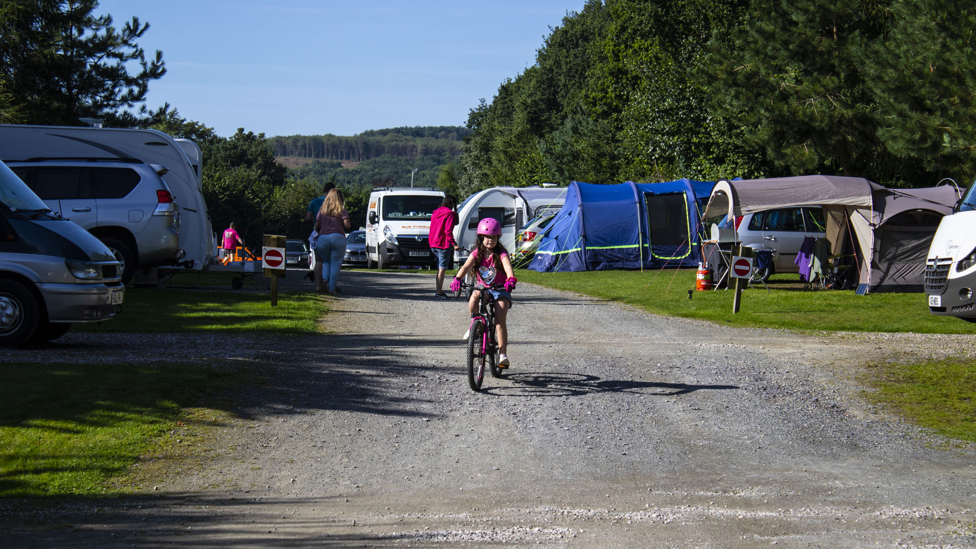 Delamere Forest Campsite Camping And Caravanning Club Site The Camping And Caravanning Club