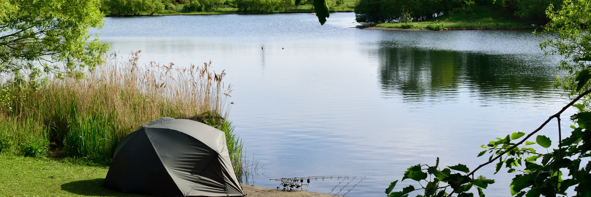 Wykeham Lakes