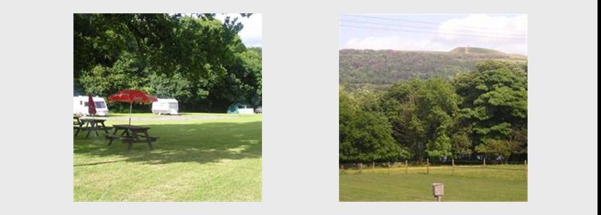 Violet Bank Holiday Home Park Caravans Website