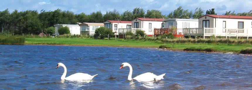 Dunbar - Belhaven Bay Camping & Caravan Park - The Camping and