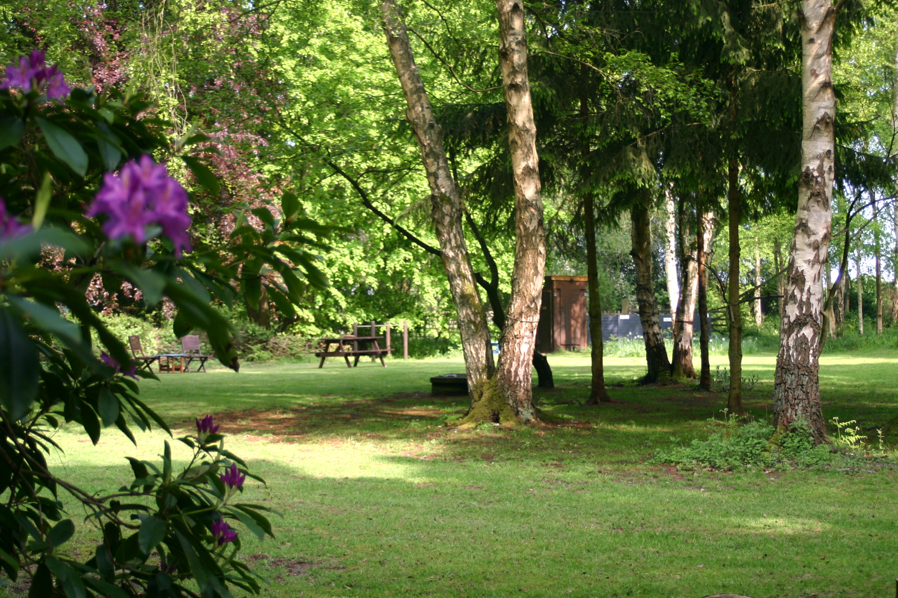 Great Yarmouth Shadow Wood The Camping and Caravanning Club