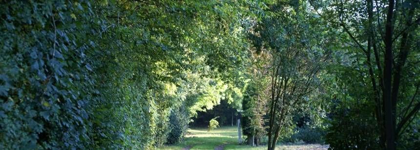 Hastings Dogwood Cottage The Camping And Caravanning Club