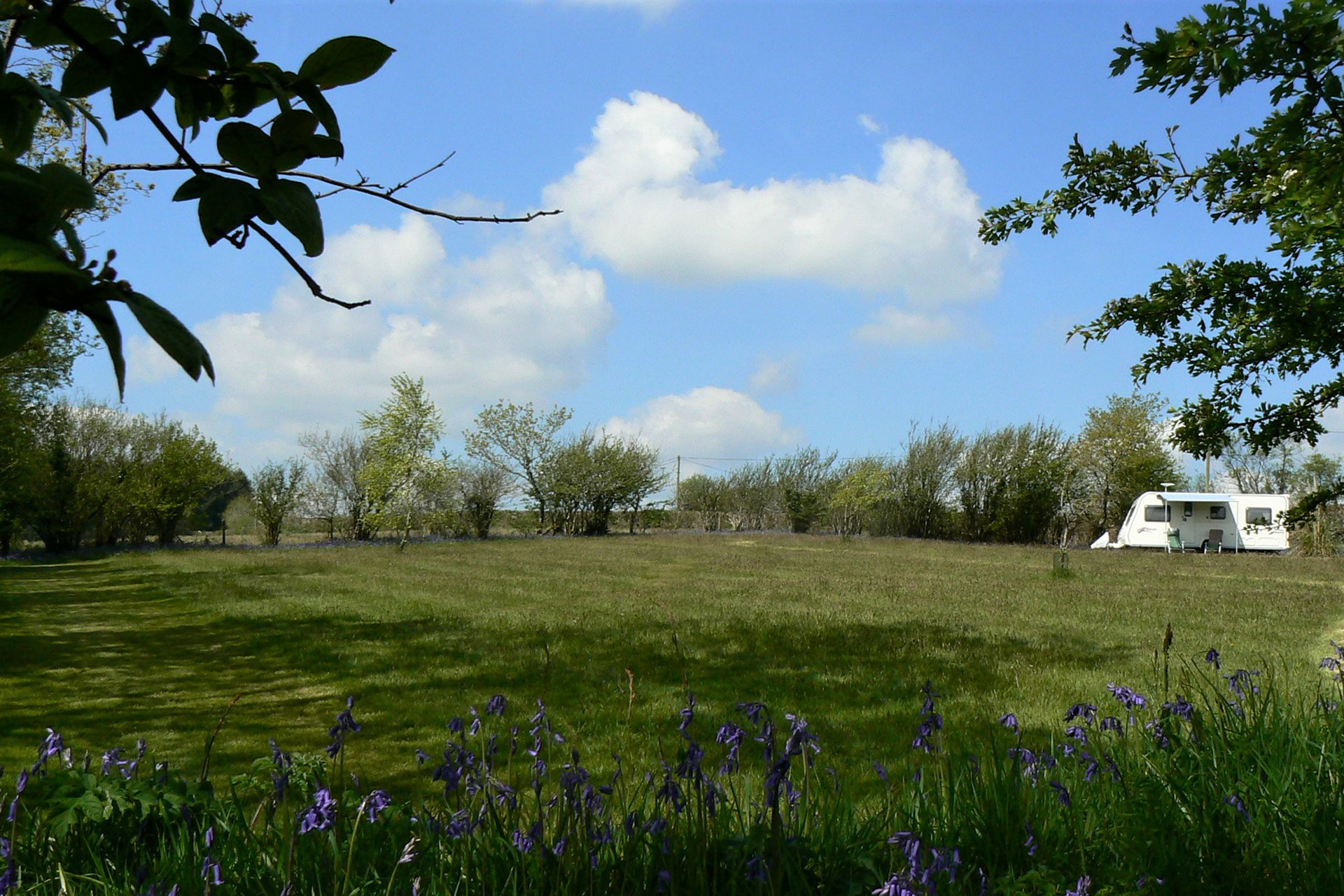 Liskeard - Deerpark Forest - The Camping and Caravanning Club