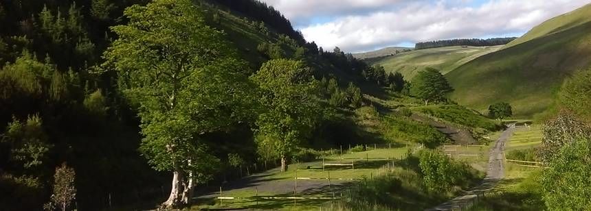 afan forest camping