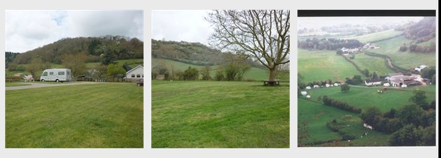 Wells Pine Tree Farm The Camping And Caravanning Club