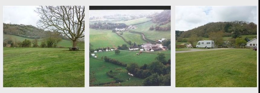 Wells Pine Tree Farm The Camping And Caravanning Club