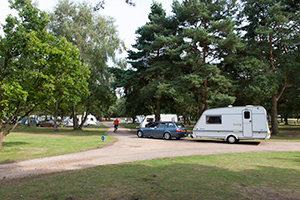 Sandringham Club Site