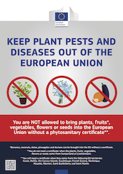 EU-factsheet-plant-pests