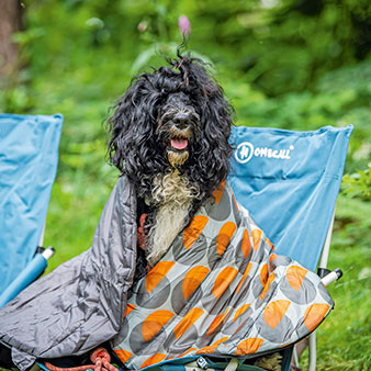 Canine campsite