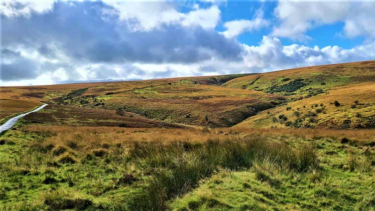 Exmoor