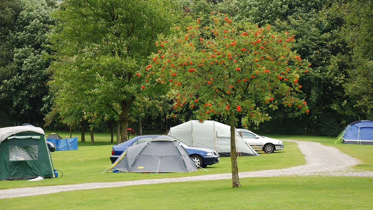 Car tourers at Haltwhistle Club Site AP