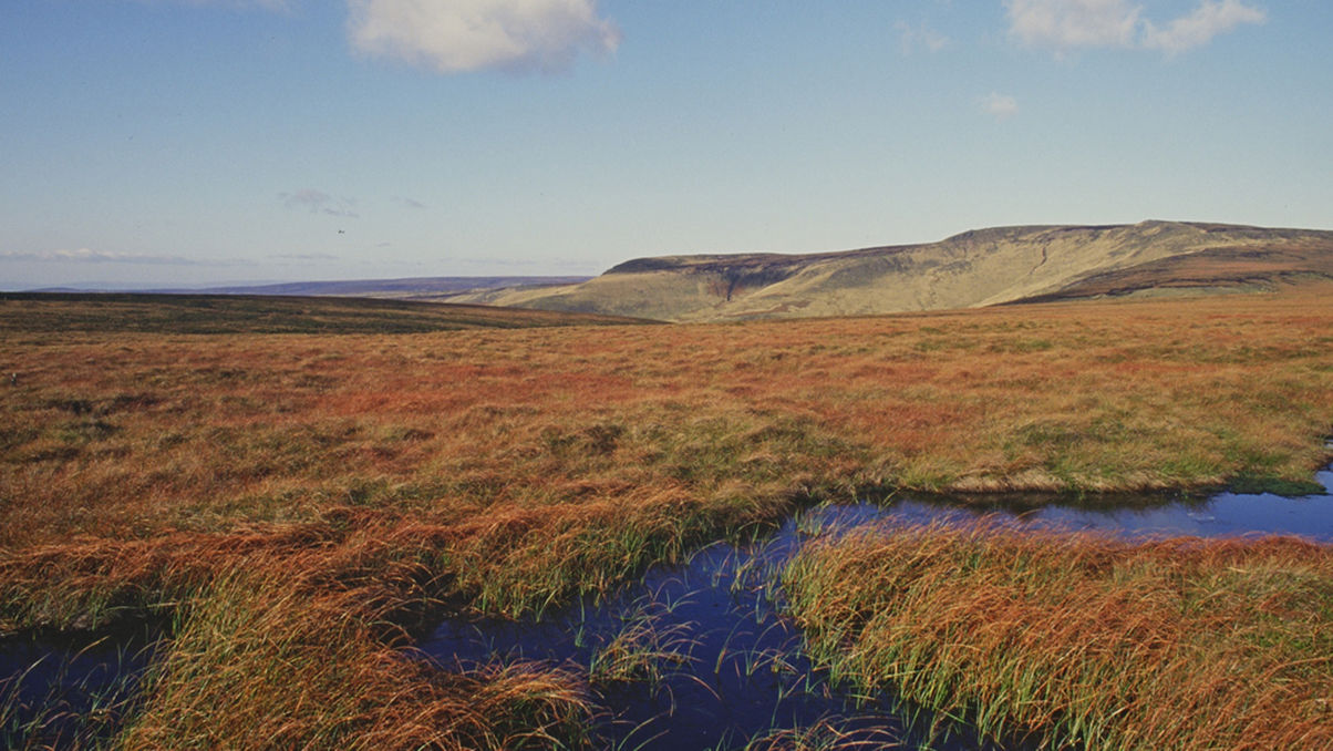 Kinder Bleaklow AP