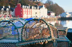 Fishing pots