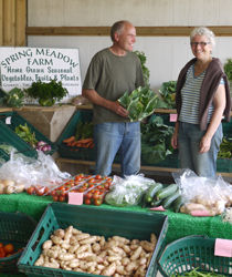 Lyn and Tim in their shop