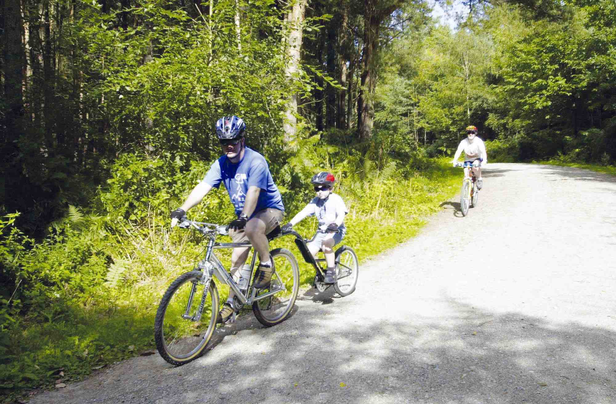 Delamere Forest The Camping And Caravanning Club