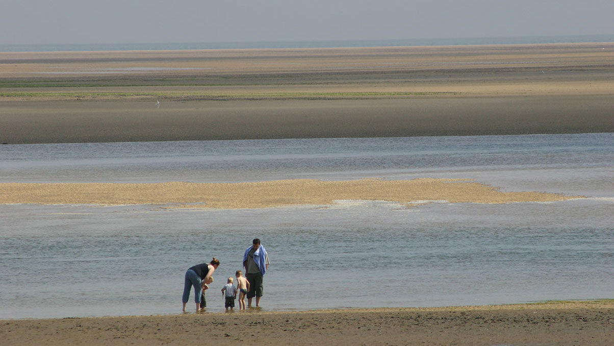 A visit to a Norfolk beach can also mean the chance to stumble across a fossil or two