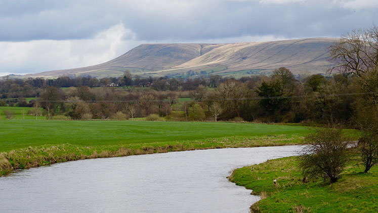 Bowland Walk AP