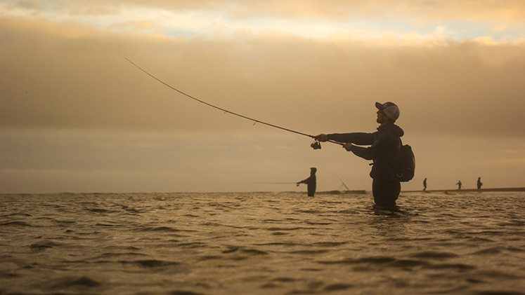 Sea fishing