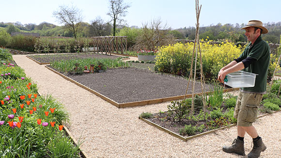 River Cottage Kitchen Garden