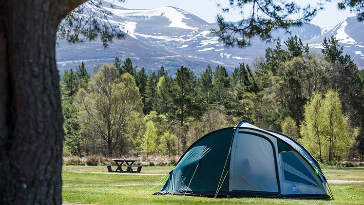 14 Fantastic reasons to camp in 2018