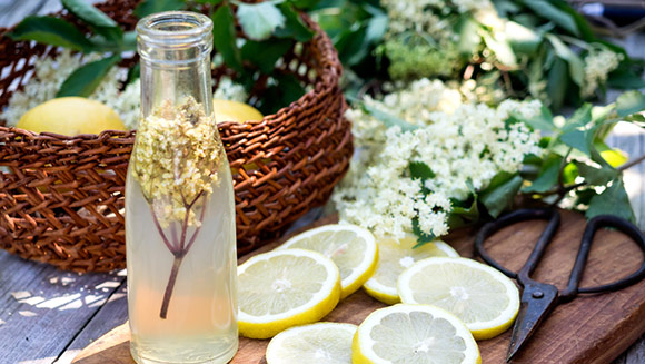 Being cordial - The Camping and Caravanning Club