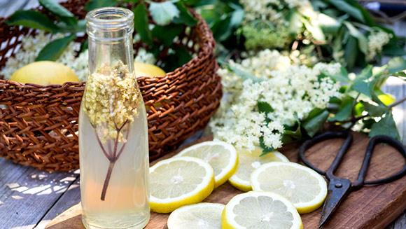 Ingredients for cordial drink