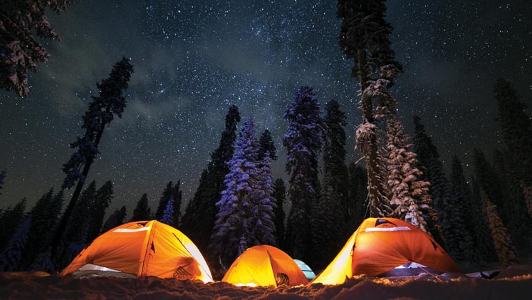 61 best ever camping tips