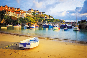 Newquay Fish Festival