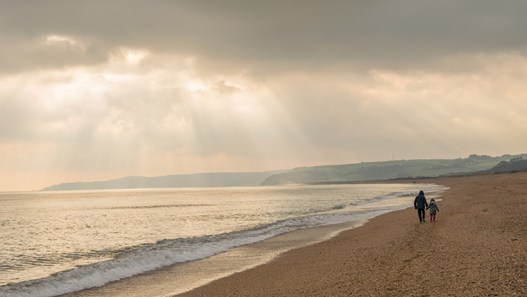 Beach Header