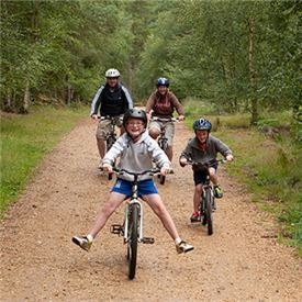 Get on your bike with the Forestry Commission