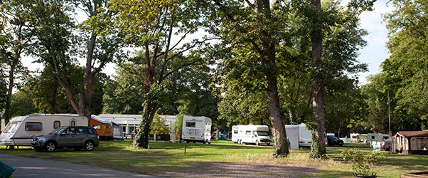 Chertsey Camping and Caravanning Club Site