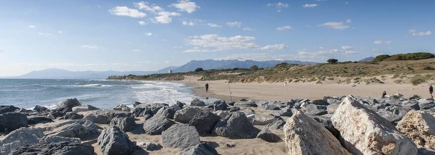 Cabo pino