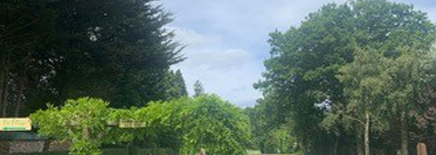 Hay Brow Caravan site Campsite | Explore North Yorkshire from Hay Brow