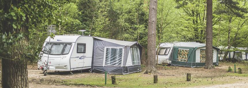 Caravans Pitched Up Among The Forest On Our Setthorns Campsite Caravans Pitched Up Among The Forest On Our Setthorns Campsite