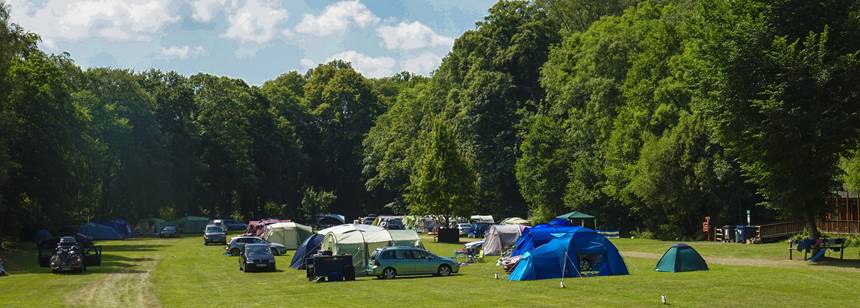 River Dart Country Park Campsite | Explore Devon from River Dart