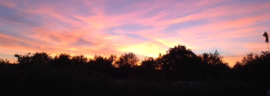 Chacewater Caravan Park Campsite | Explore Cornwall from Chacewater