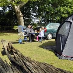 Ashurst New Forest Campsite Explore Hampshire From Ashurst New Forest Campsite The Camping Caravanning Club Ashurst New Forest Campsite Explore Hampshire From Ashurst New Forest Campsite The Camping Caravanning Club