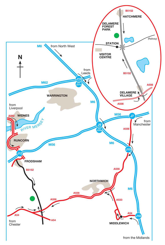 Delamere Forest Campsite | Explore Cheshire from Delamere Forest ...