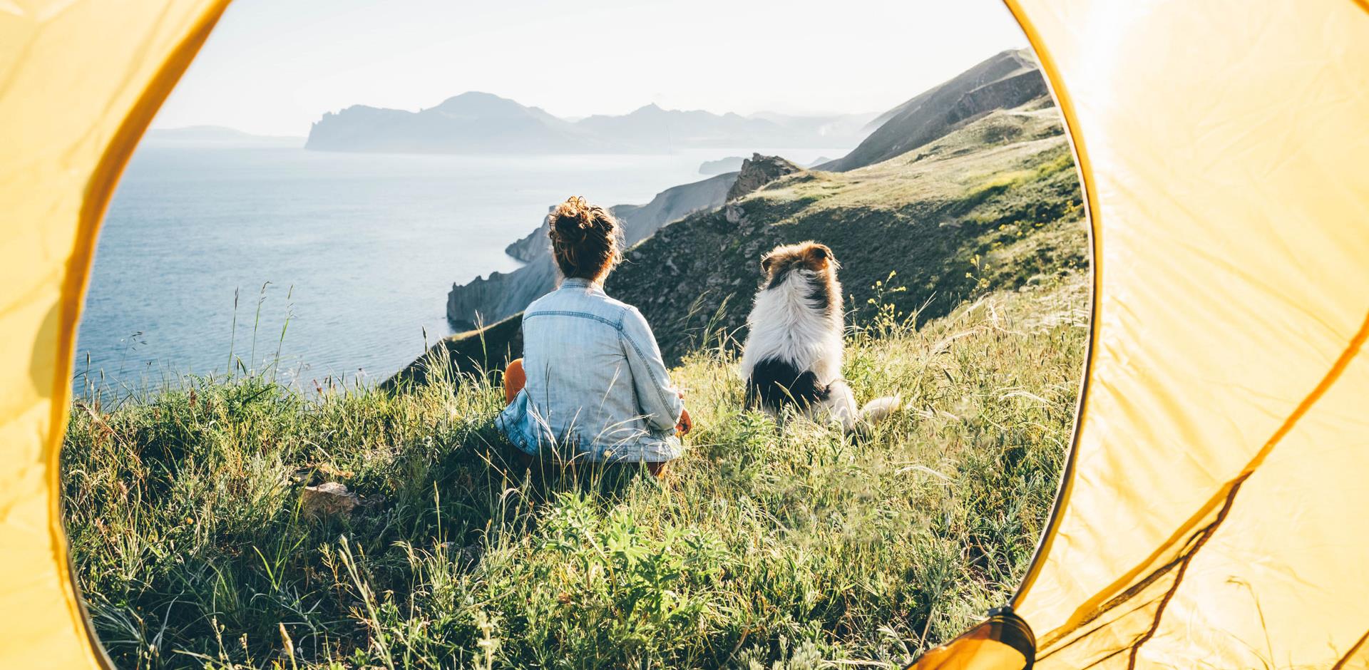 Dog and owner sat outside of tent